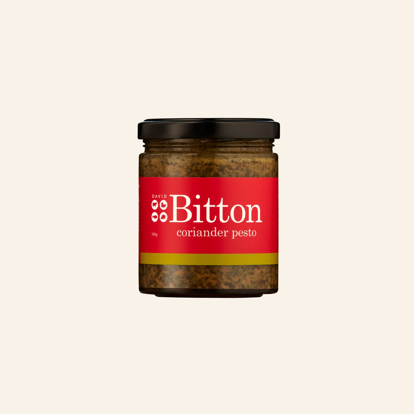 Gourmet Coriander Pesto